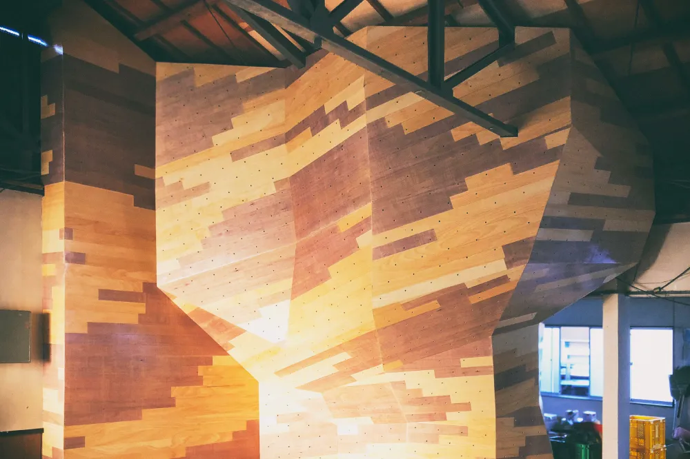 Tree Wall@ブルーバードボルダリングジム